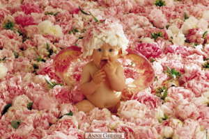 Cute Baby in Flowers6396418338 300x200 - Cute Baby in Flowers - Flowers, Cute, Baby